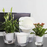 Selbstbewässernder Blumentopf für Blumen und Pflanzen – klein – Produktabbildung 5