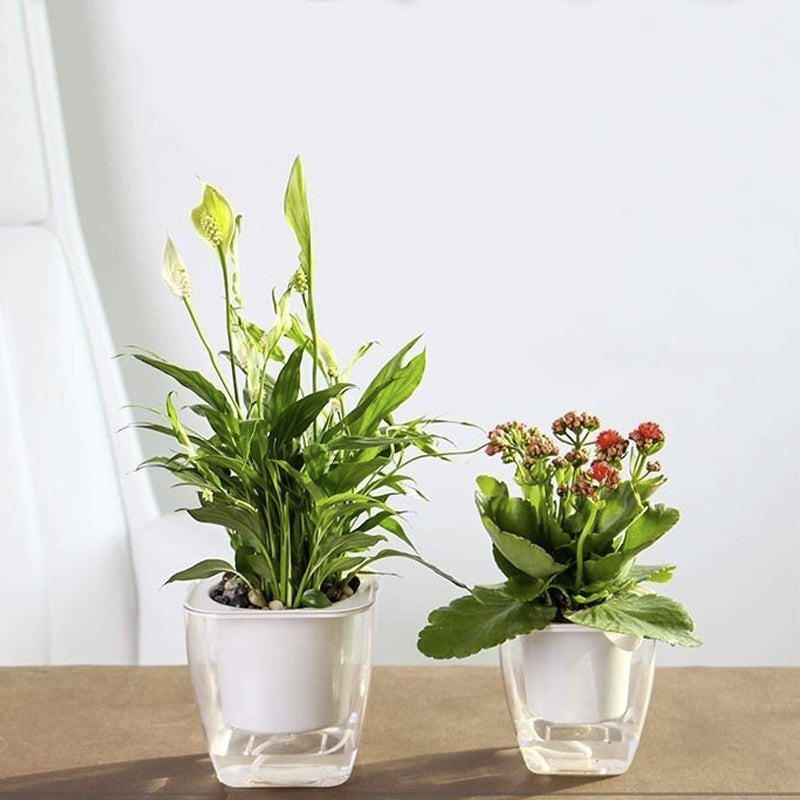Selbstbewässernder Blumentopf für Blumen und Pflanzen – klein