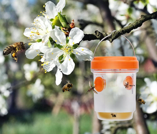 Solar-Insektenfalle – orange