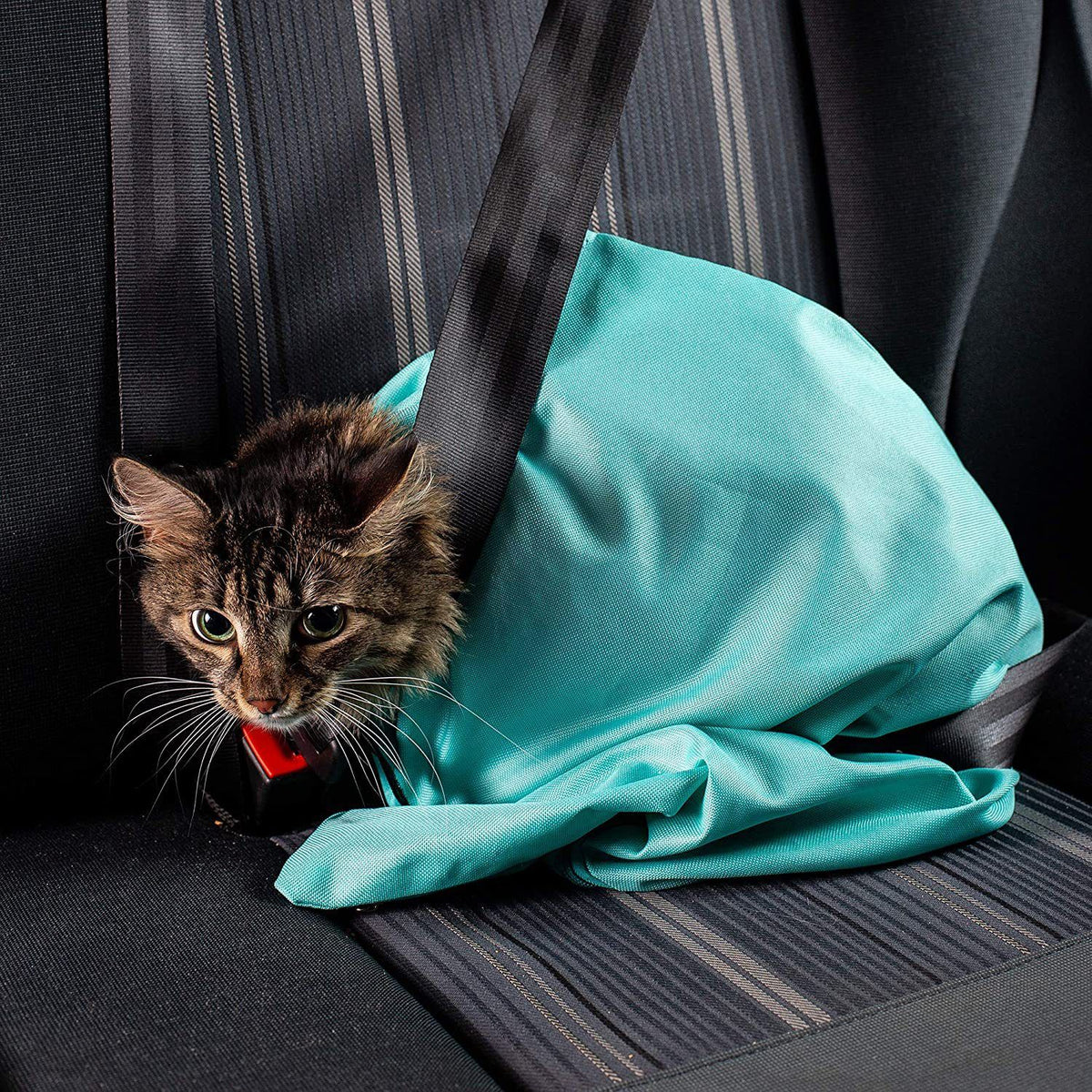 Tragetasche für Hund, Katze / Transporttasche - blau – Produktabbildung 2