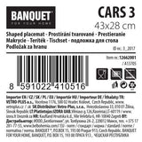 Kunststoff-Tischset 43x28cm CVARS 3 – Produktabbildung 4