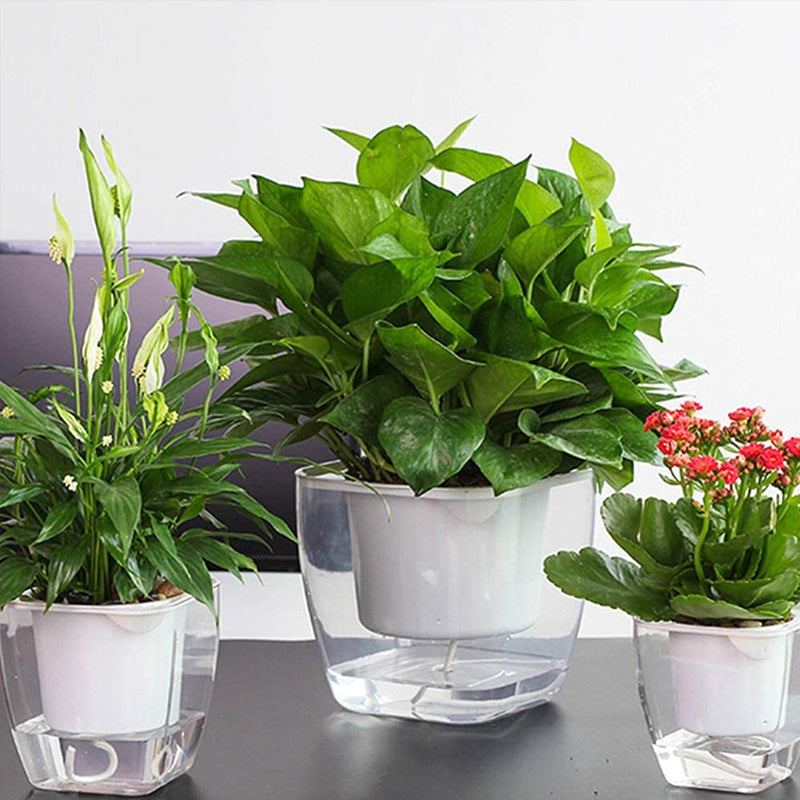 Selbstbewässernder Blumentopf für Blumen und Pflanzen – klein – Produktabbildung 4