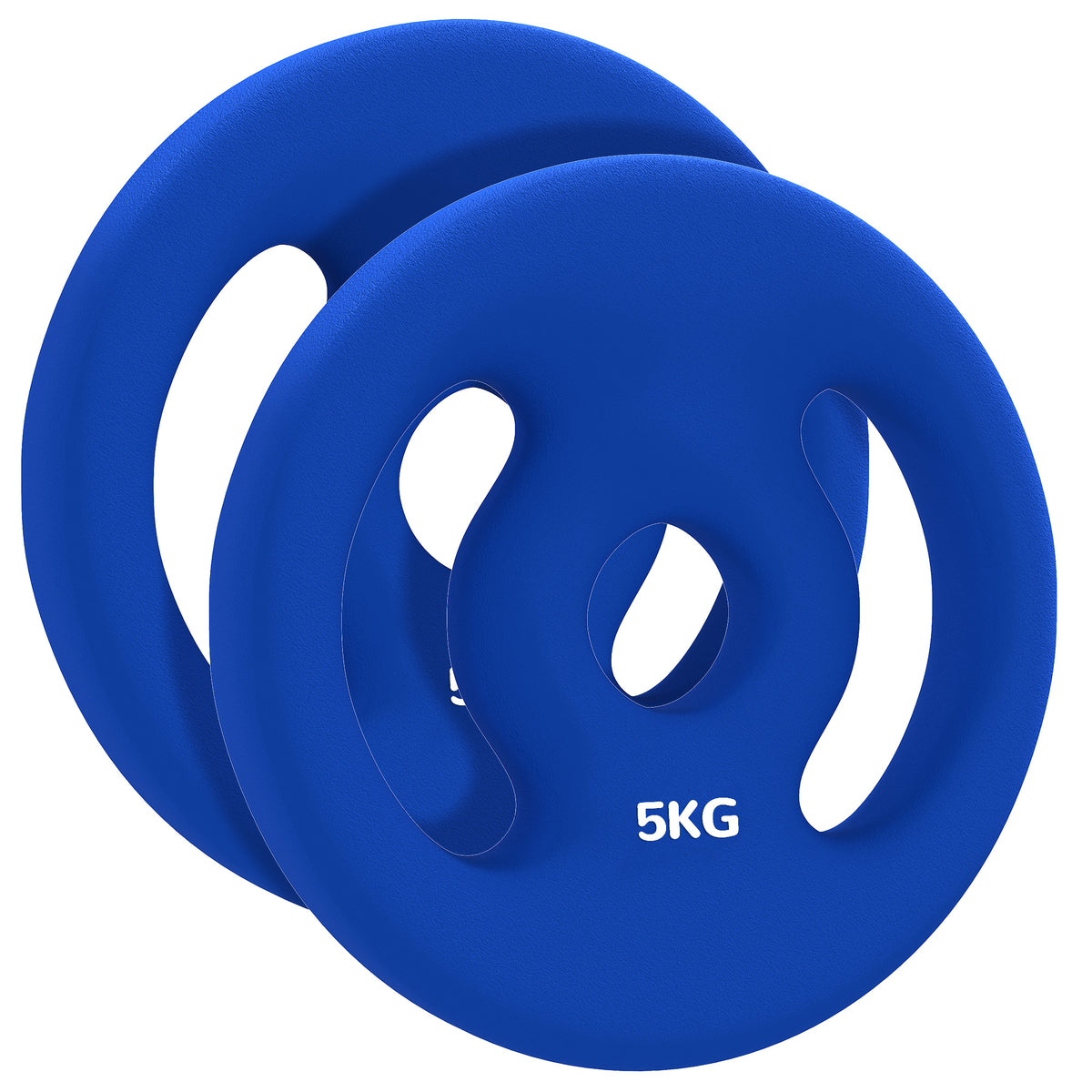 2 x 5 kg gewichtsschijven met praktische handgrepen, gewichtenset voor home-gym, sportschool, krachttraining