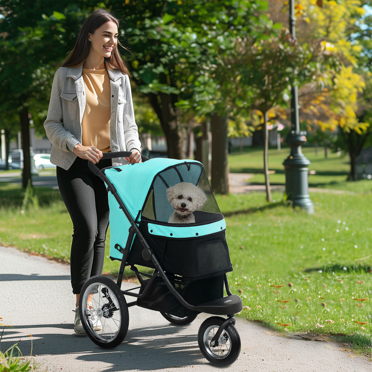 Hondenbuggy, huisdierenwagen voor kleine honden en katten, met opbergmand, opvouwbaar met één klik, turkoois (2)