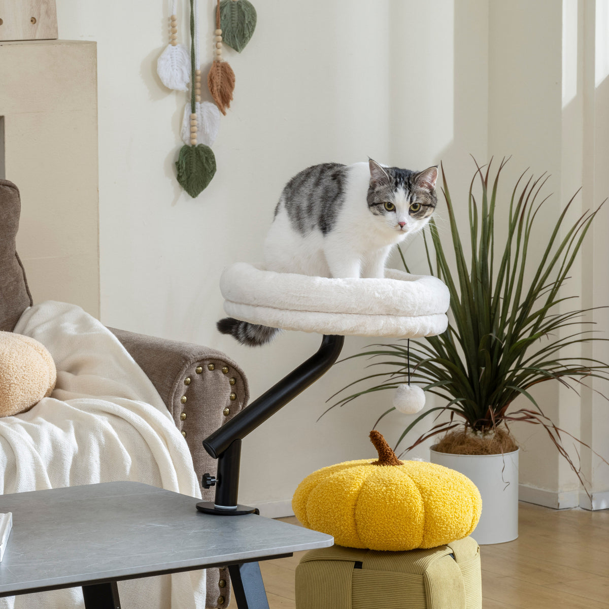 Kattenbureau-bed, kattenbed voor bureau met 360°-rotatie, verstelbare hoogte, kattenligplaats met afneembaar (2)