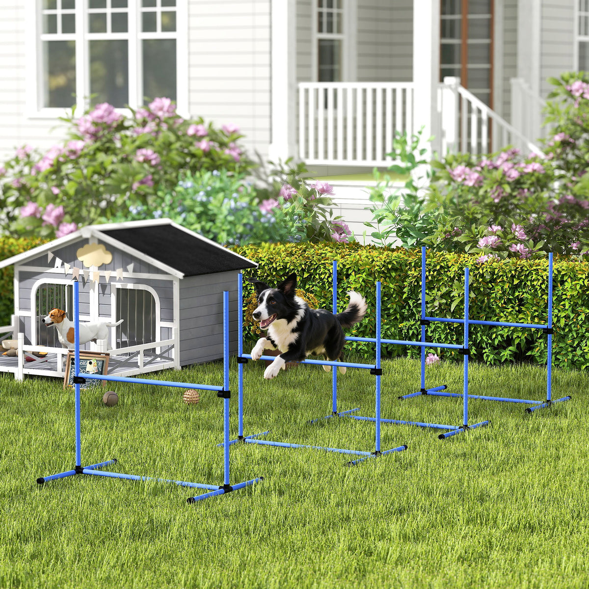 Agility-set in hoogte verstelbaar honden agility-uitrusting met 4 hindernissen draagtas 104x67 cm blauw (2)