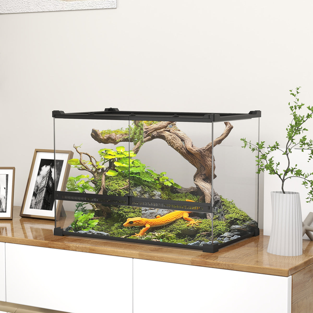 Glazen terrarium voor reptielen, verhoogde & waterdichte bodem, knopslot (2)