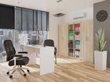 Regal Oliv 2D SONOMA – Produktabbildung 6