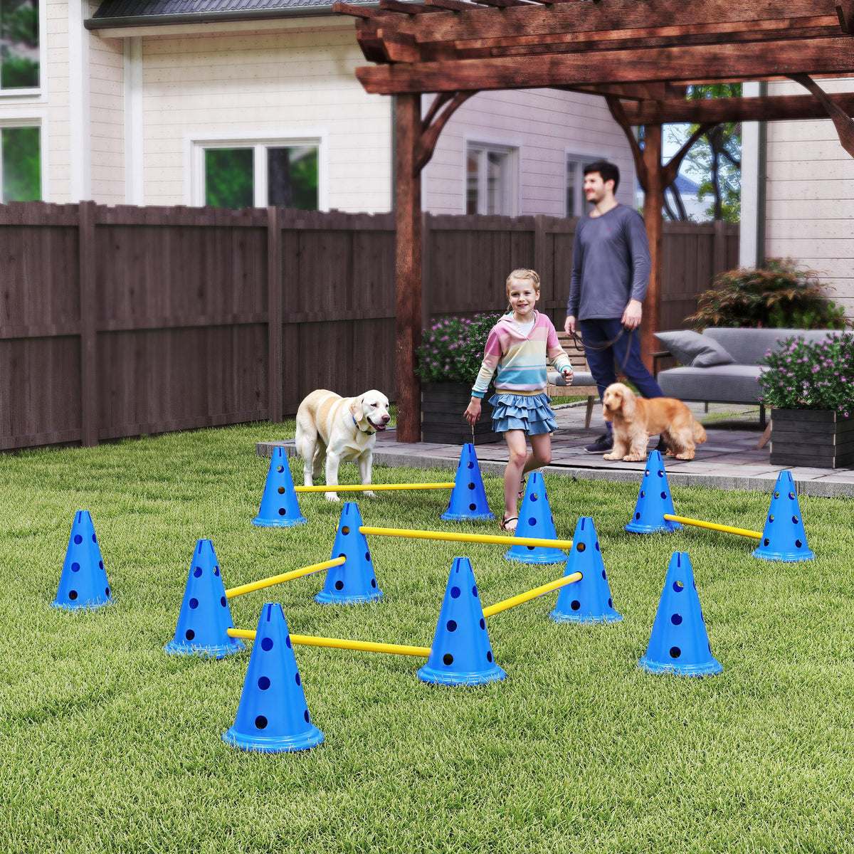 Agility-set voor honden, 6-delige agility-uitrusting voor hondentraining, hindernisset met 12 pionnen, 6 (2)