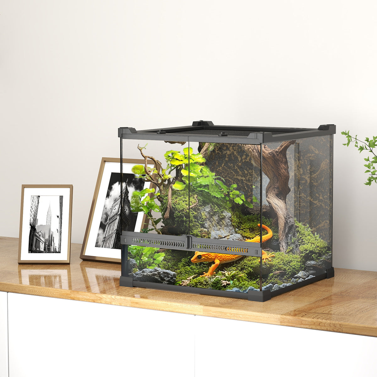 Glazen terrarium voor reptielen, verhoogde & waterdichte bodem, knopslot (2)