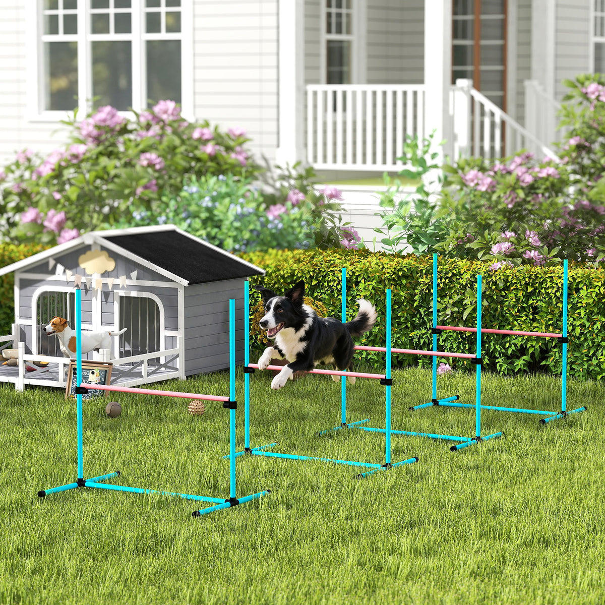 Agility-set voor honden 4-delig in hoogte verstelbaar agility-uitrusting met 4 hindernissen draagtas 99 x 65 x (2)