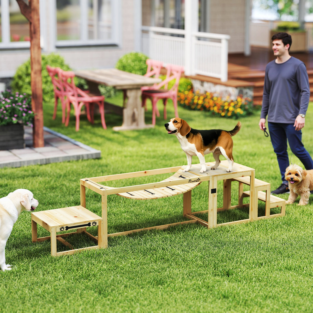 Agility-set voor honden, hondentrainingsconstructie met brug, trap, platform, dennenhout, voor grote honden tot (2)
