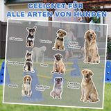 Agility-set voor honden 3-delige agility-uitrusting voor hondentraining, insteekhordeset met 6 kegels, 3 hordes (8)